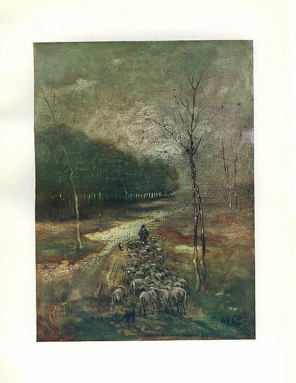 Old Print Holland Dutch Moor Sheep Shepherd Netherlands