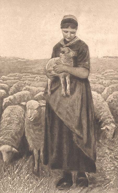 Old Print Woman Holds Lamb Sheep Flock