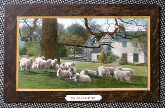 Old Homestead Sheep