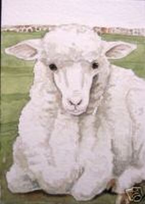 Original Aceo Watercolor Rambouillet Sheep