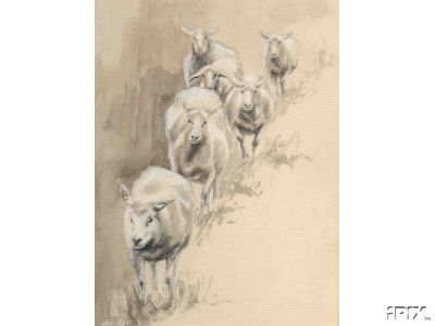 Original Sheep Watercolor