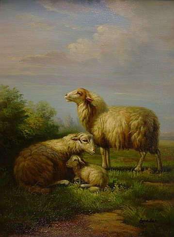 Pastoral Sheep