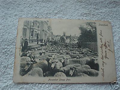 Pc November Sheep Fair 1902