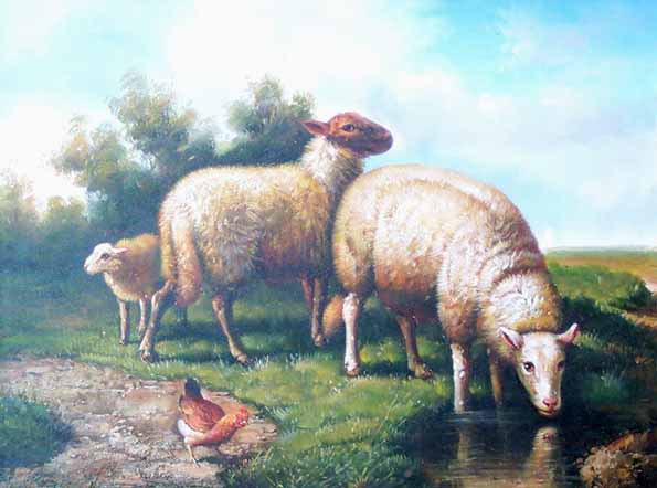 Peaceful Sheep with Tunis
