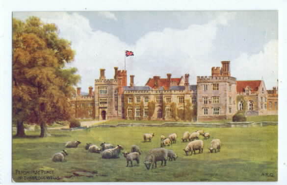 Penshurst Place Kent Sheep