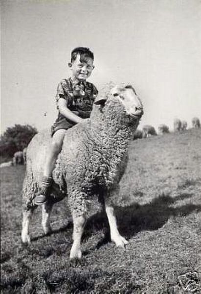 Photo Boy on a Sheep