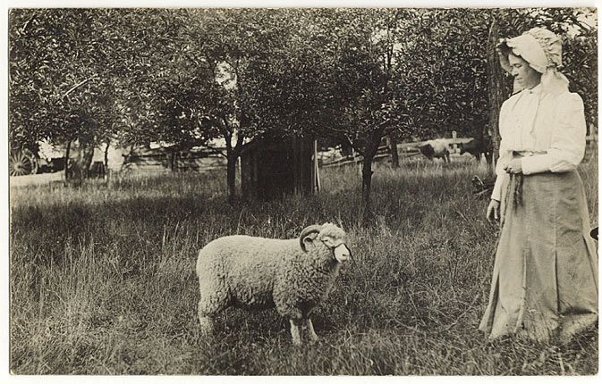 Photo of Woman with Sheep on a Leash