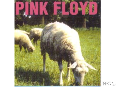 Pink Floyd Sheep