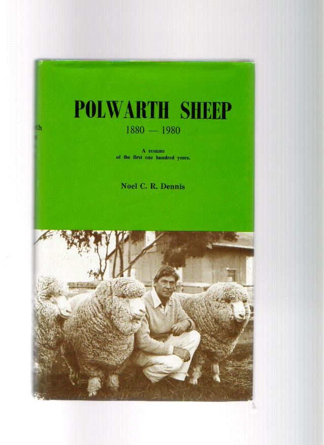 Polwarth Sheep