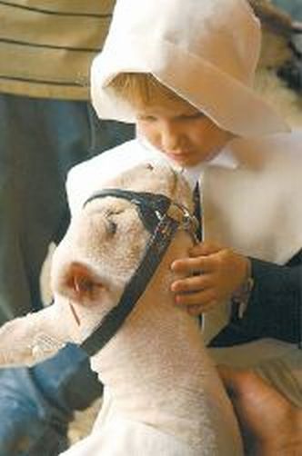 Precious Child Kissing Lamb