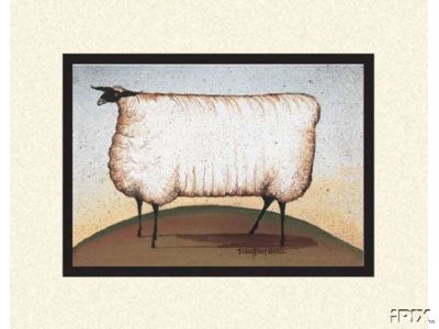 Primative Sheep1