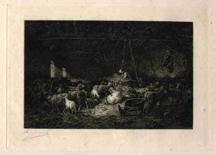 Print of Sheep in the Barn