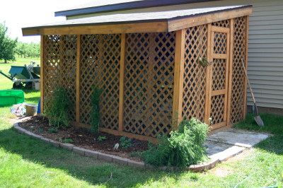 Rabbit Shed