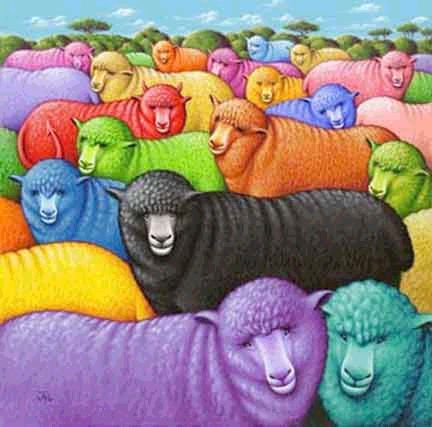 Rainbow Sheep B