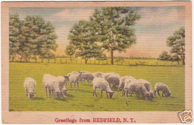 Redfield New York Sheep Meadow