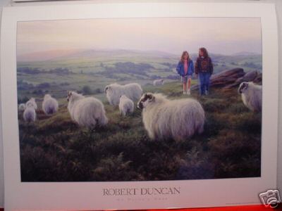 Robert Duncan Print on Devons Moor Sheep