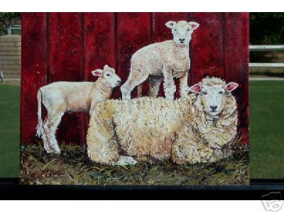 Romney Trio Sheep