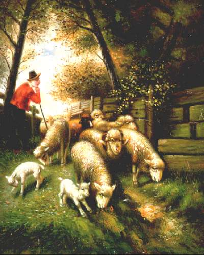 Romny Sheep in Spring