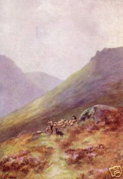 Salmon Postcard Sheep and Shepherd 1910
