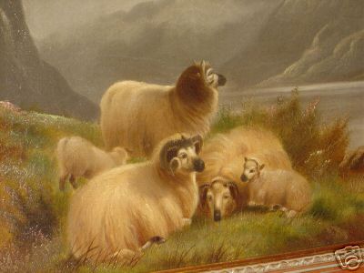 Scottish Highland Sheep Oil W Jackson 1174