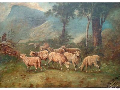 Scottish Sheep 1