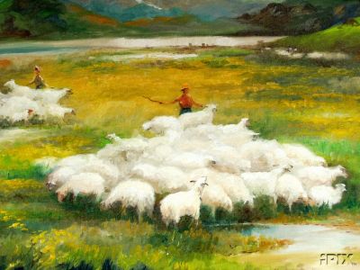 Seperating Sheep