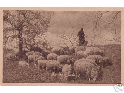 Sepia Sheep and Shepherd
