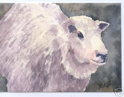 Sheep Aceo Folk Art Card Original Watercolor Rlh