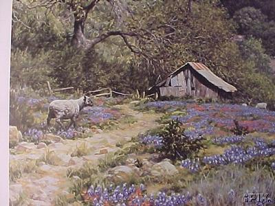 Sheep and Bluebonnets