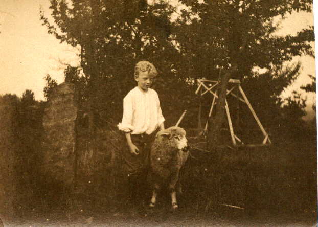 Sheep and Boy