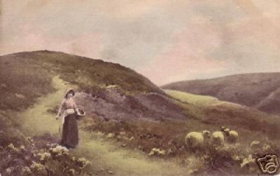 Sheep and Girl Postcard Faulker