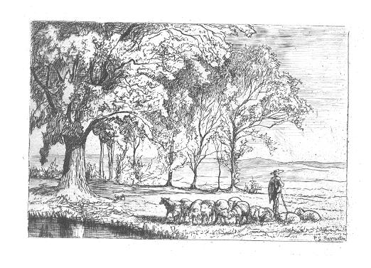 Sheep and Shepherd Etching