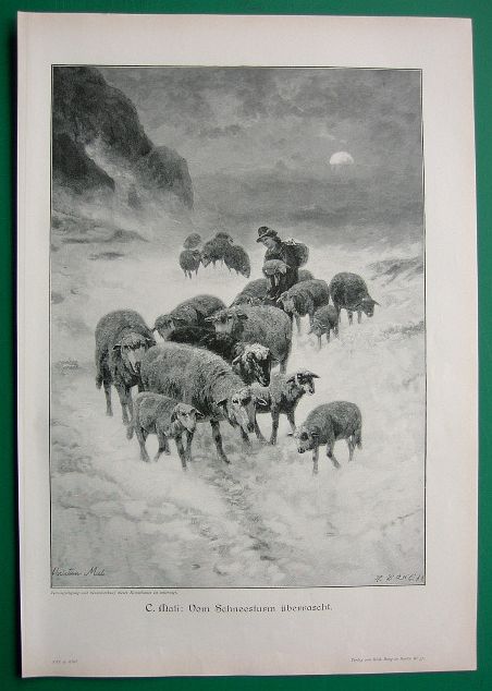 Sheep and Shepherd in Snow