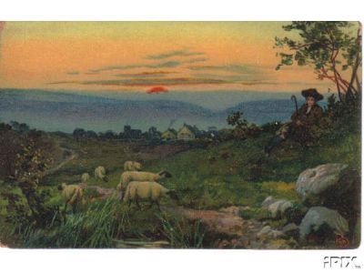 Sheep and Shepherd Pc