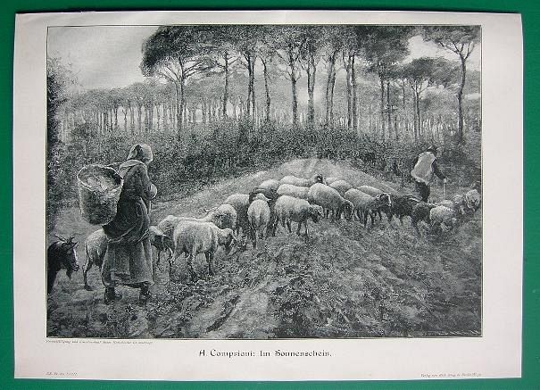 Sheep and Shepherds Going Home