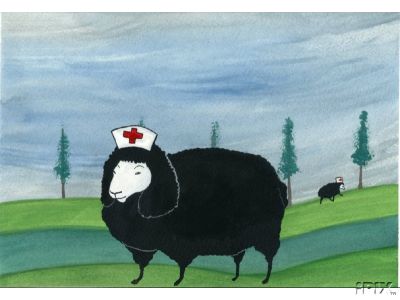 Sheep Are Not Nurses