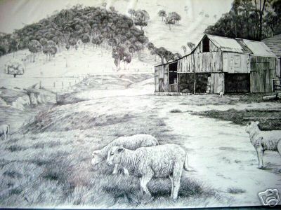 Sheep Around the Wool Shed