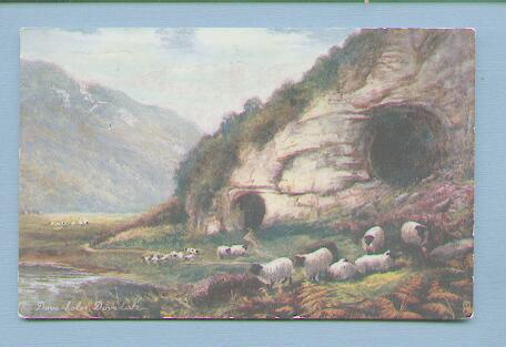 Sheep at Dove Holes