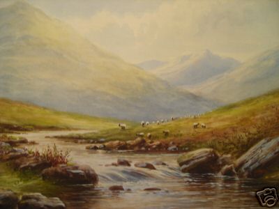Sheep at Loch Katrine