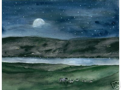 Sheep at Midnight