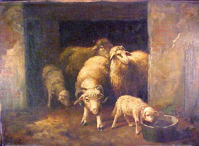 Sheep at the Barn