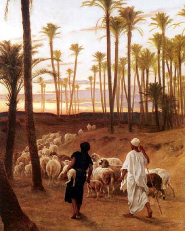 Sheep at the Oasis