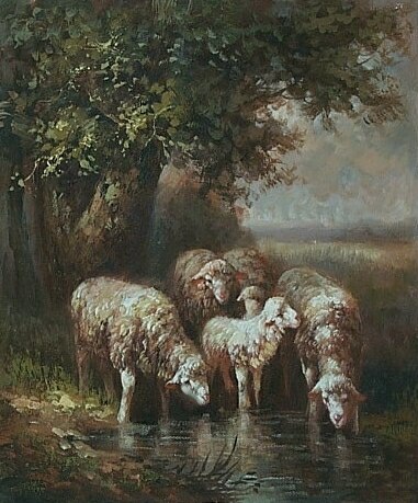 Sheep at the Water Hole