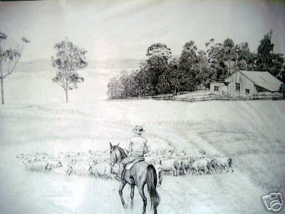 Sheep Being Driven