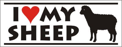 Sheep Bumper Sticker