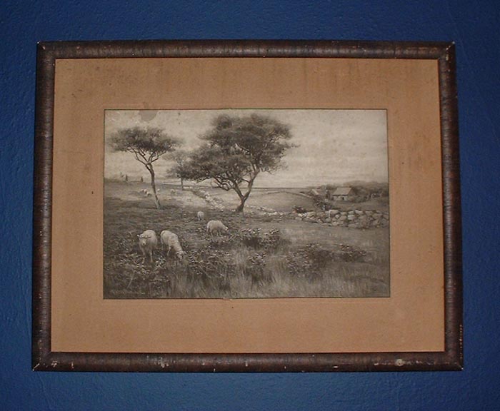 Sheep By a Rock Wall Etching