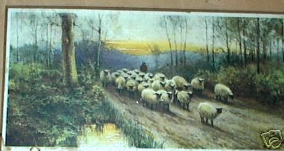 Sheep By Peaceful Ways