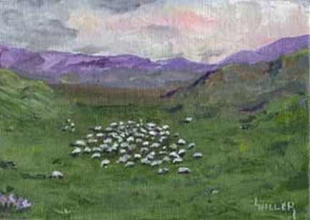Sheep By Purple Mountains