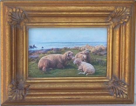 Sheep By the Sea B