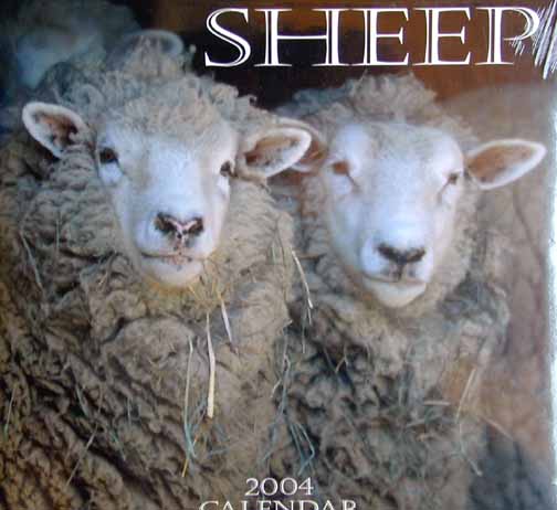 Sheep Calendar 2004